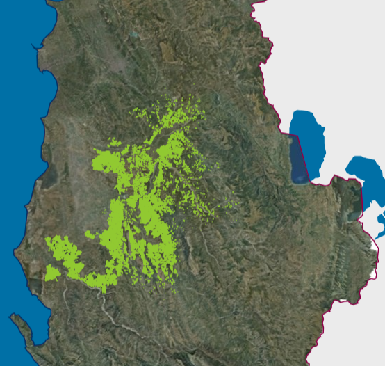 Graphic overview for Existing land use, Olive Cadastre.