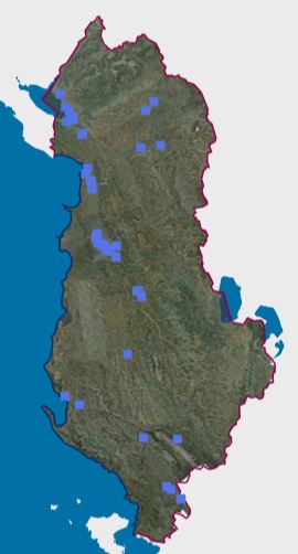 Graphic overview for Permits granted by the KKU and KBU for other water uses: sanitary, washing, household sanitary, swimming pools.