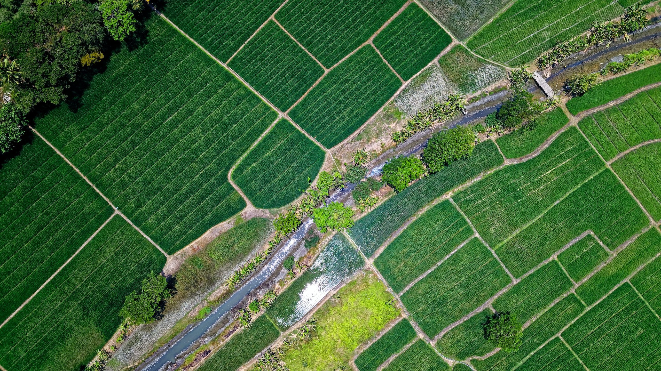 Graphic overview for Records on agricultural land that has changed its use