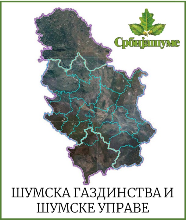 Graphic overview for Forest estates and Forest administrations