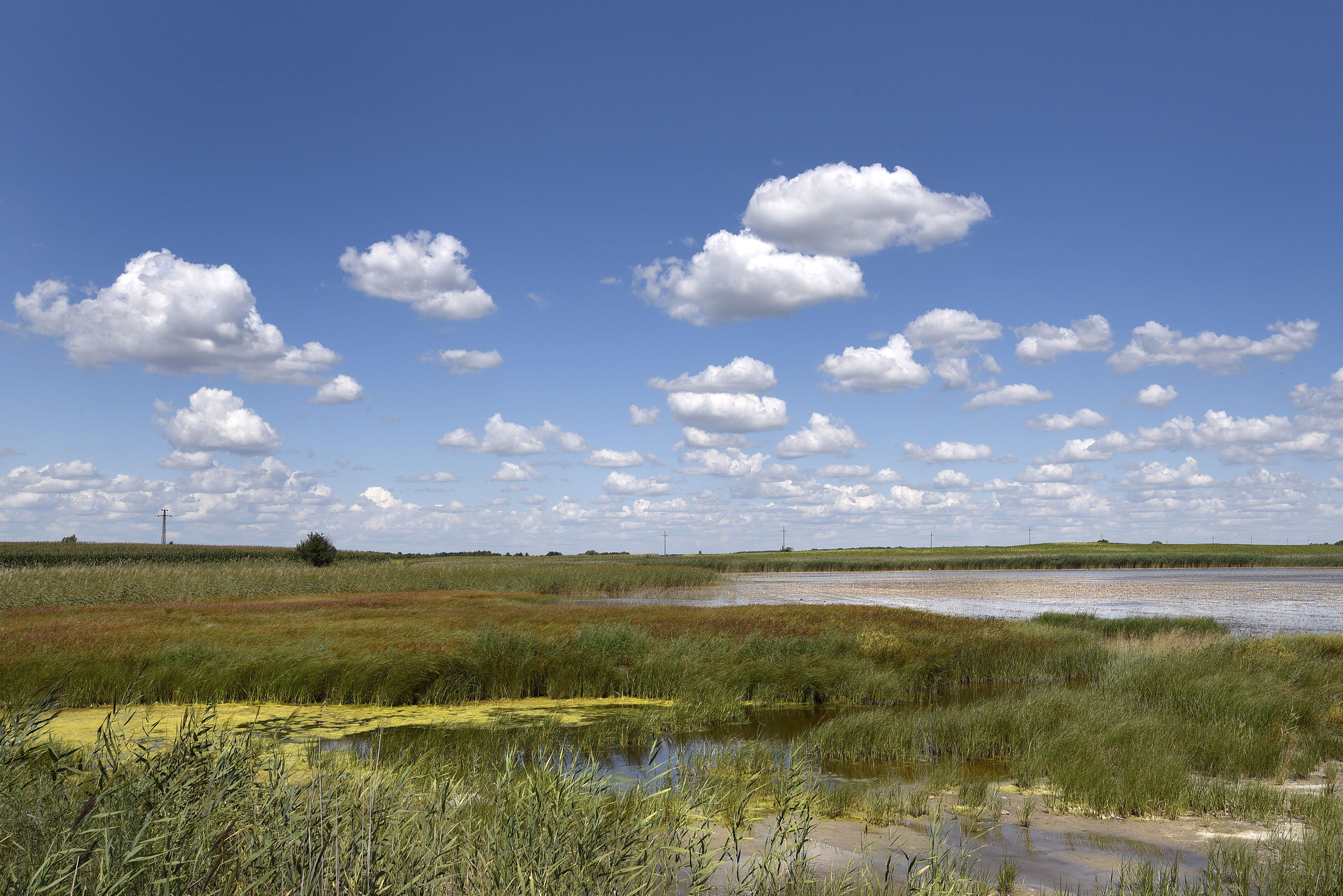 Graphic overview for The boundaries of the area of ​​protected natural resources on the territory of AP Vojvodina